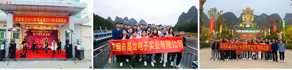 Dongguan Changlong Electronics Industry Co.